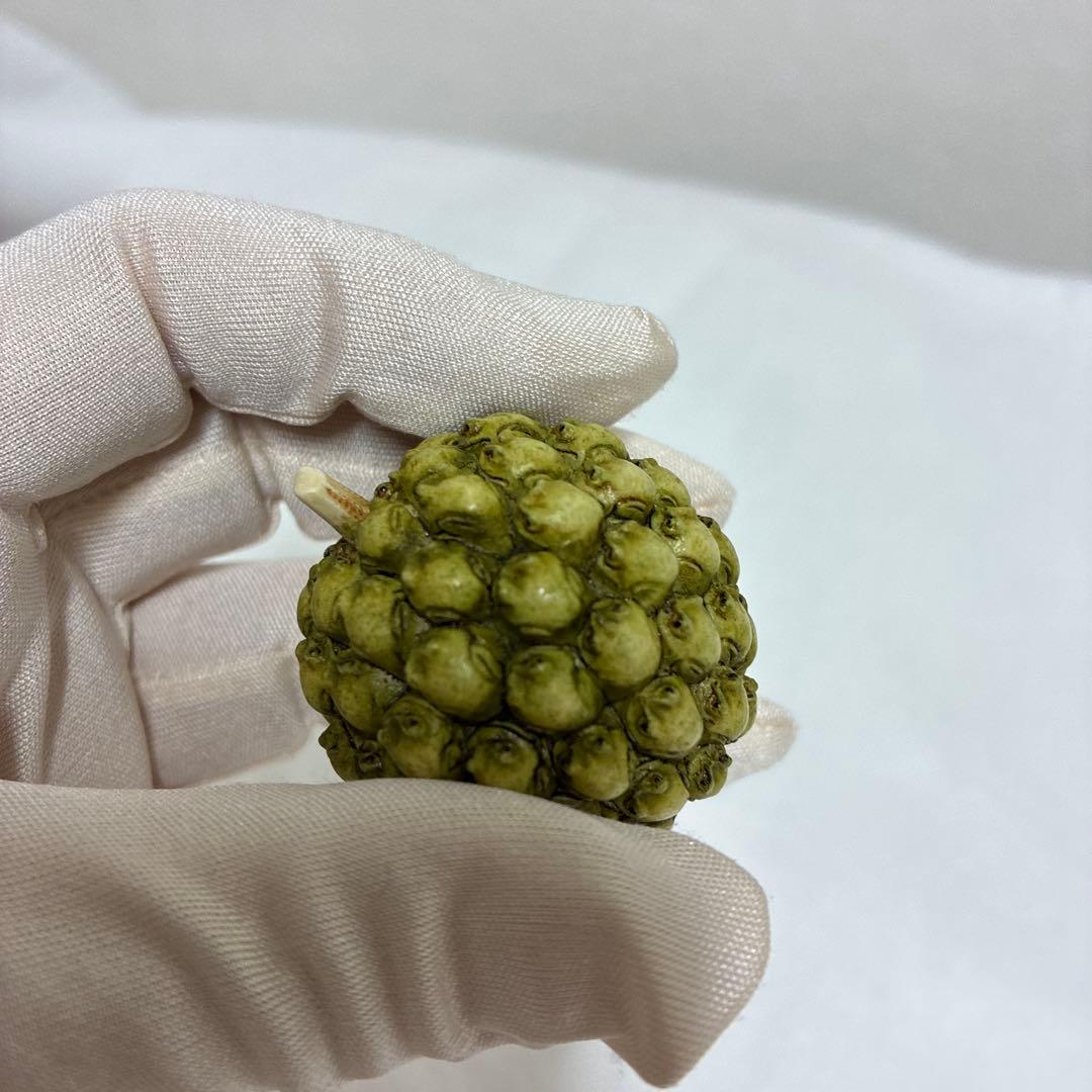 置物 Harmony Kingdom Frogberry Ivory