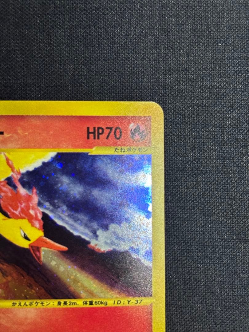 ポケモンカード web ファイヤー 1ED ホロ キラ eカード