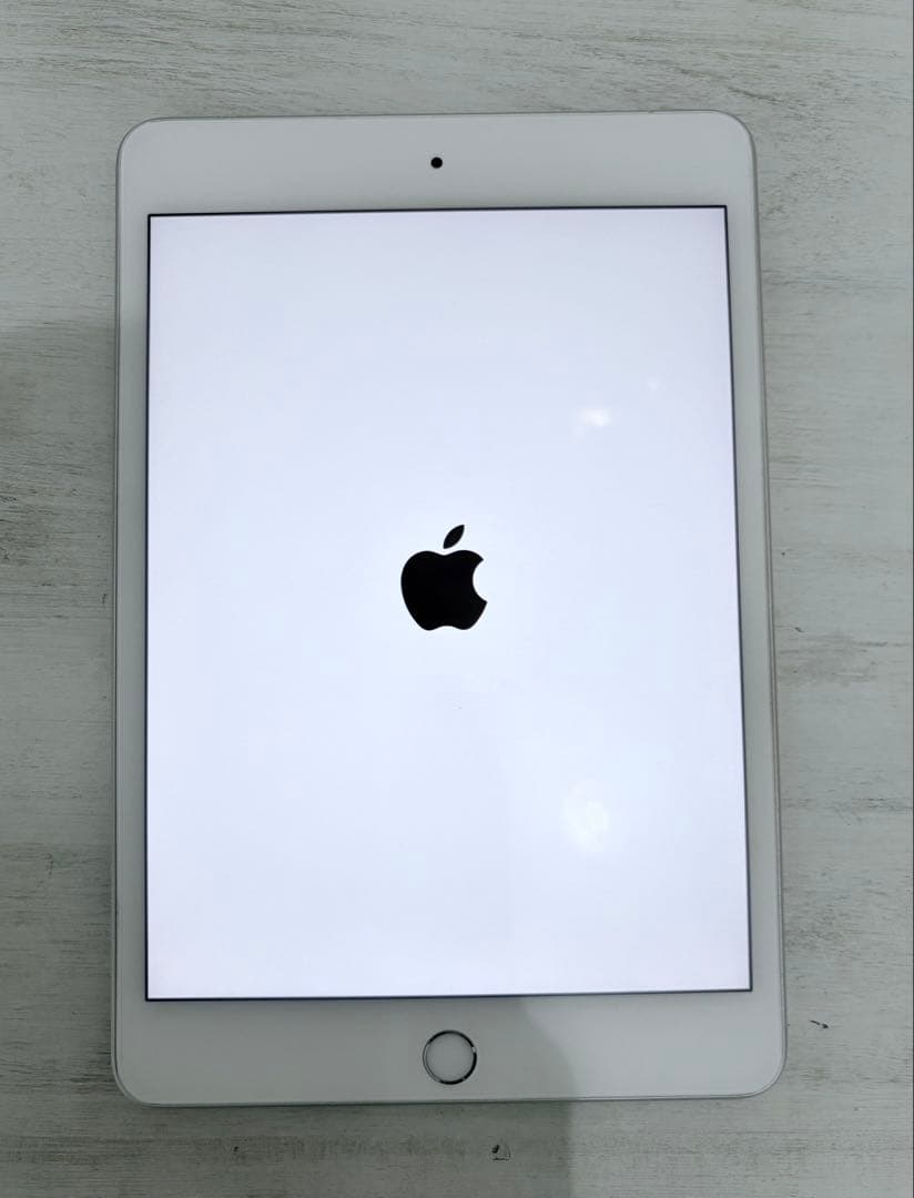 iPad mini 第5世代 cellular セルラー ApplePencil