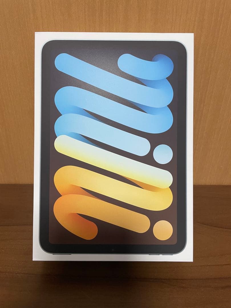 極美品iPad mini (第7世代) 256 Wi-Fi + Cellular