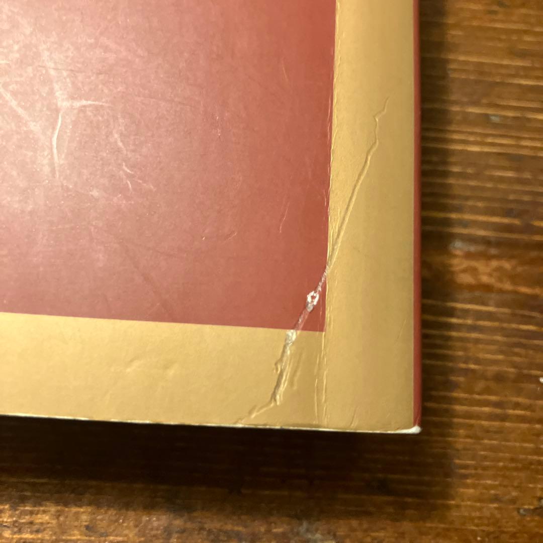 ドラッグ オン ドラグーン ワールドインサイド 同梱特典設定資料集