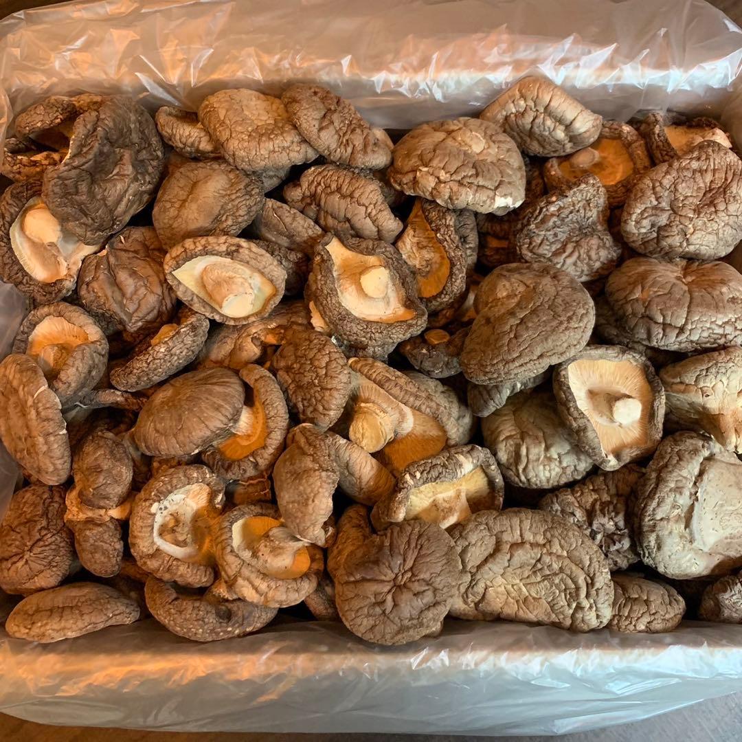 【産地直送】 乾燥椎茸　1kg 業務用　しいたけ　岩手県産　東北の味　業務用お得