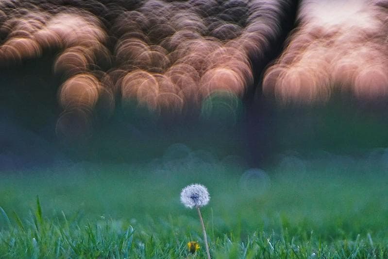 バブルボケレンズDiaplan (Pentacon) 150mm f2.8M42