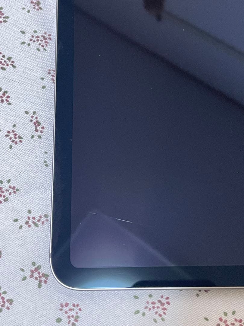 iPad Pro 11 (第2世代) 128GB SIM フリー