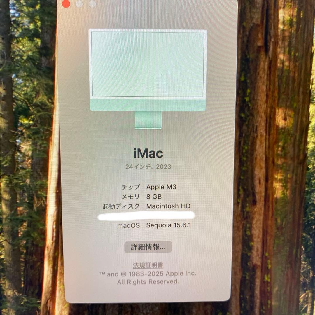 iMac 2023 24インチ Apple M3 256GB