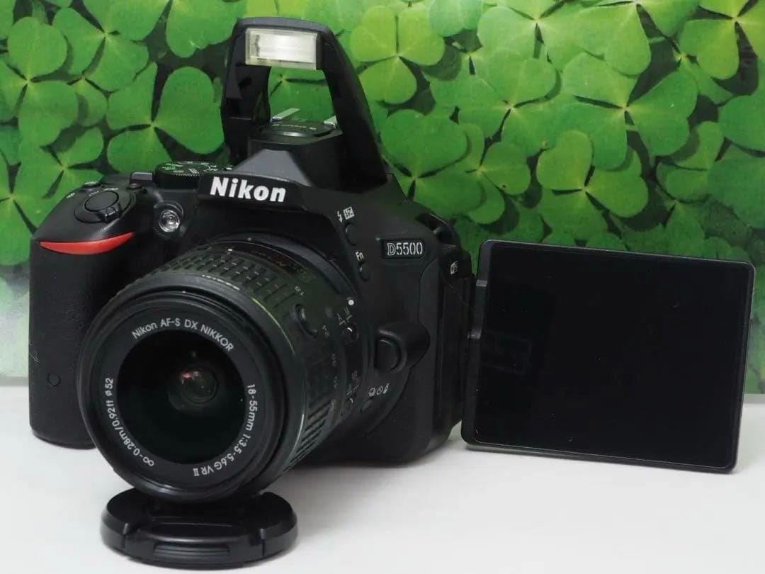 【美品】Wifi搭載❤️自撮りOK ニコンD5500 2416万画素ダブルレンズ