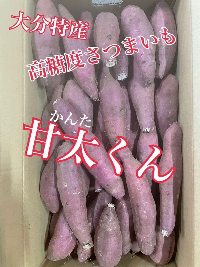 今年も始まりました。とにかく甘い　高糖度さつまいも　甘太くん　大容量セール