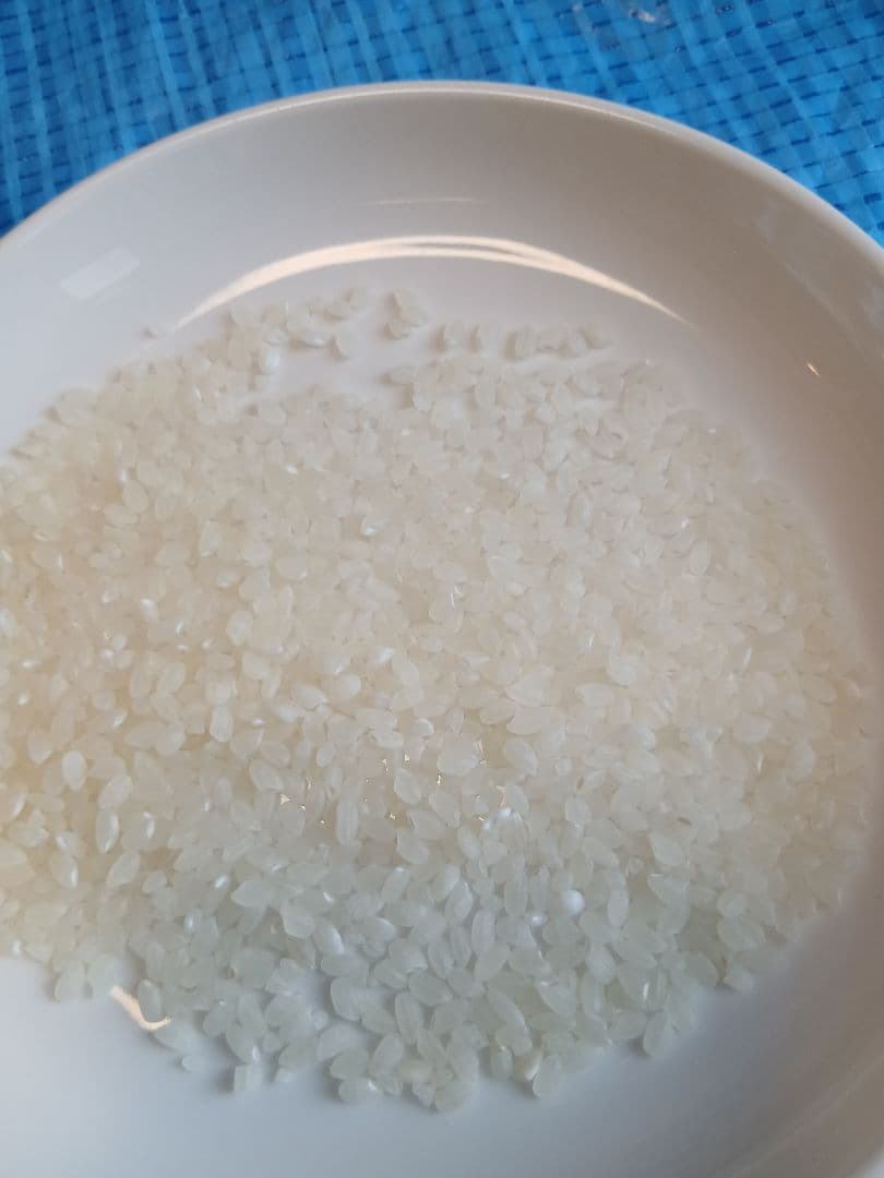 令和３年産　山形県産　つや姫　玄米20㎏（5kg×4袋） 古米　訳あり　備蓄米