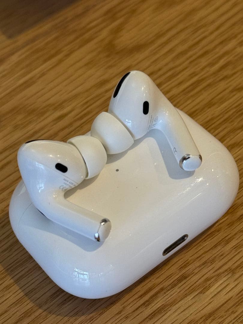 Apple AirPods Pro(第1世代) 付属品あり