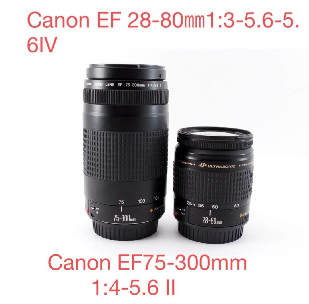 Canon EF28-80+Canon EF75-300 標準&望遠（2セット）