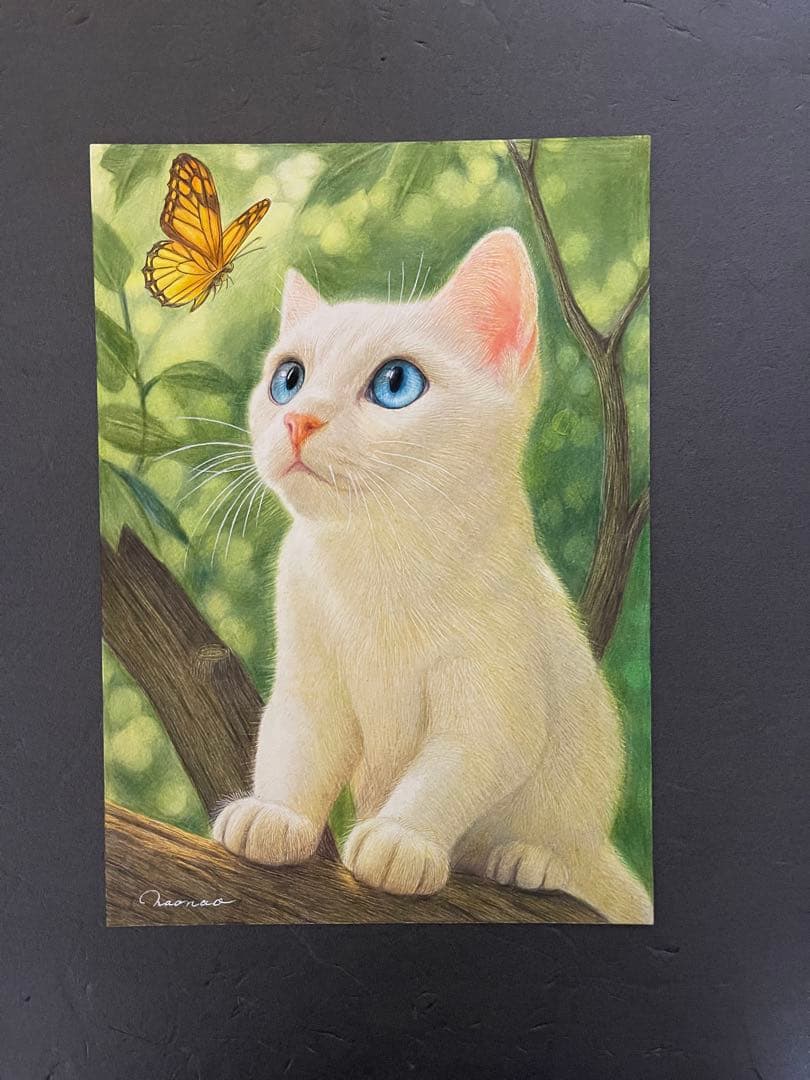 色鉛筆画A4白猫36