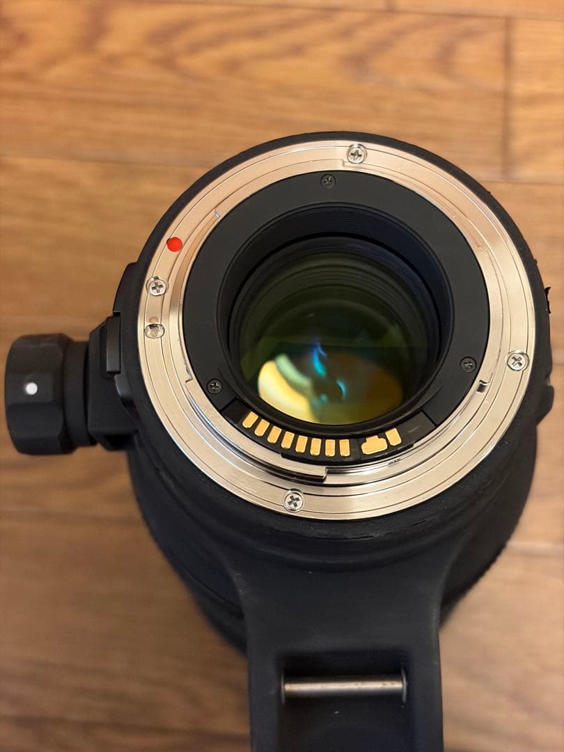 Sigma 120-300mm F/2.8 EX DG HSM キャノンEF