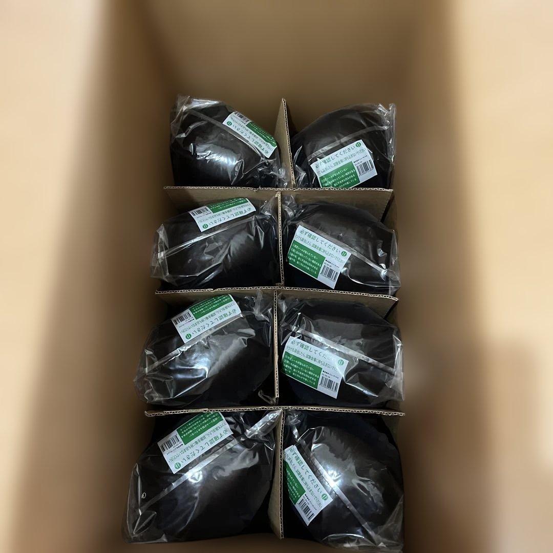 SARYさま専用　美容師国家試験カットウィッグ