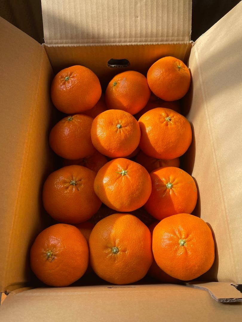 甘平(5kgx2箱)・ご家庭用