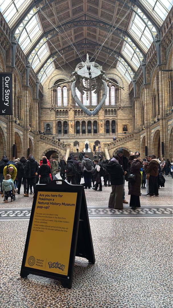 Pikachu at the Museum ポケモン 博物館 コラボ　プロモ