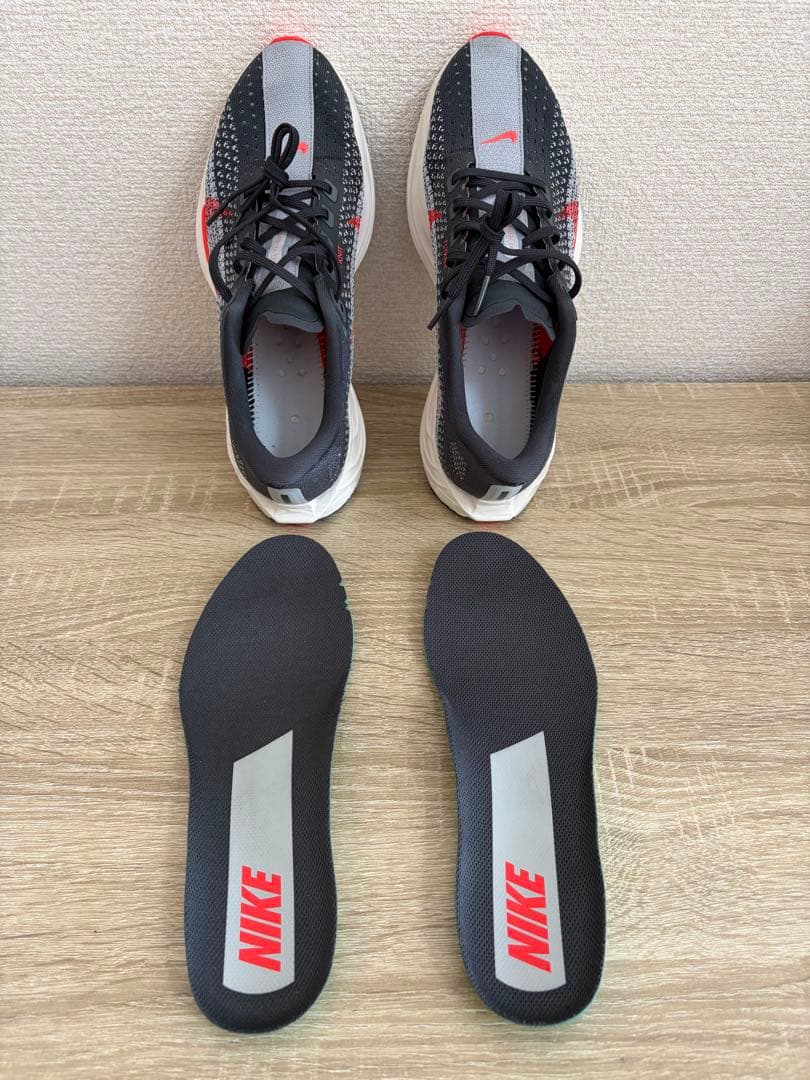 １回使用 ナイキ ペガサスプラス NIKE 25cm メンズ