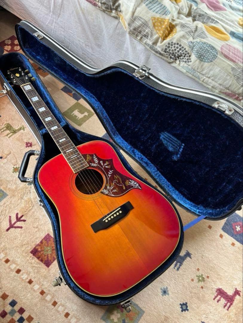 早い者勝ち！ギターケース付き　モーリス　ハミングバード　WH-25