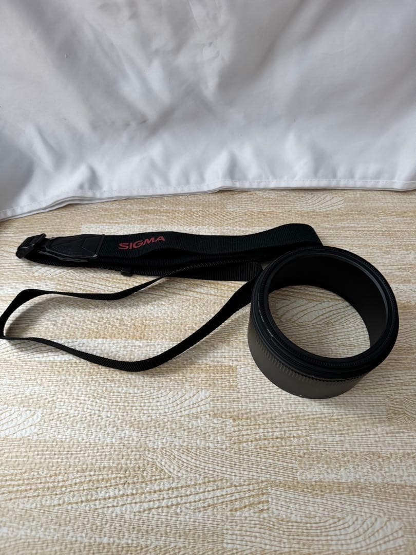 SIGMA DG 50-500mm 1:4.5-6.3 望遠ズームレンズ