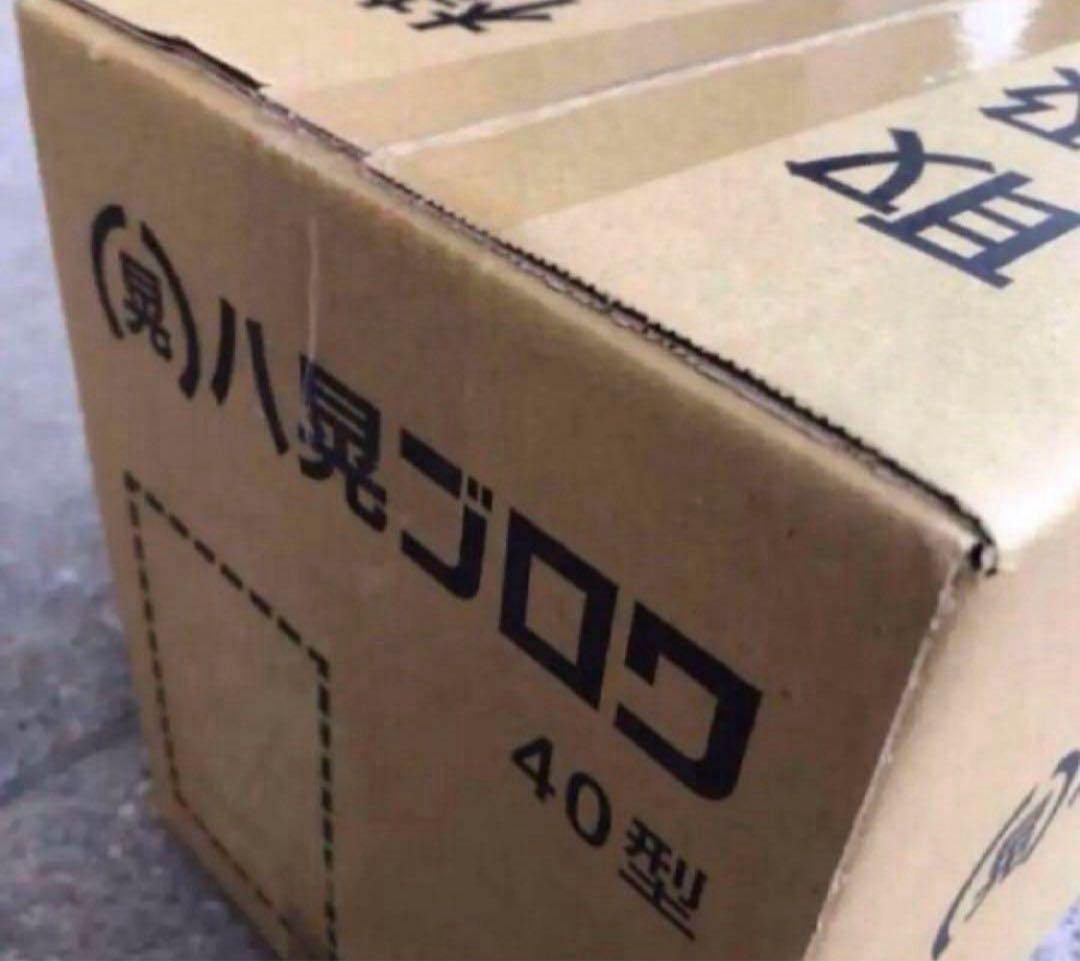 新品 未使用 未開封 八晃ブロワー 40型 単独浄化槽 水槽 エアーポンプ