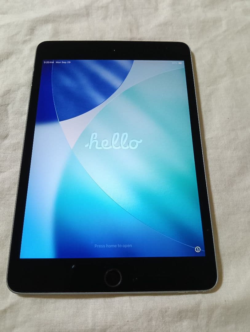 iPad mini 第5世代 バッテリー84%