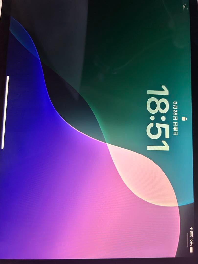 Apple iPad Pro 第4世代 11インチ シルバー