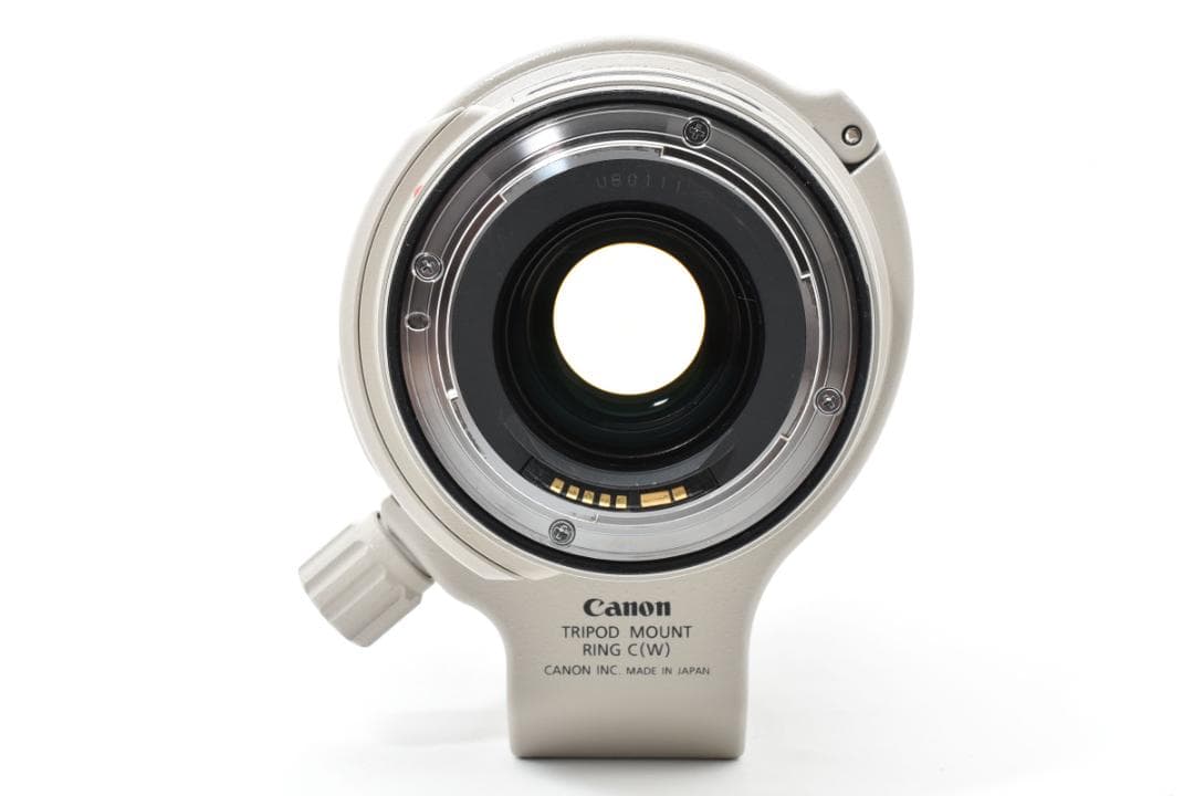 ★美品★ Canon EF 28-300mm F3.5-5.6 L IS USM