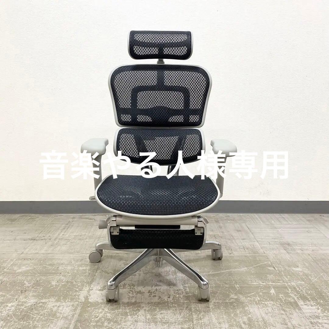 展示アウトレット品 関家具 Ergohuman PRO2 エルゴヒューマンプロ2