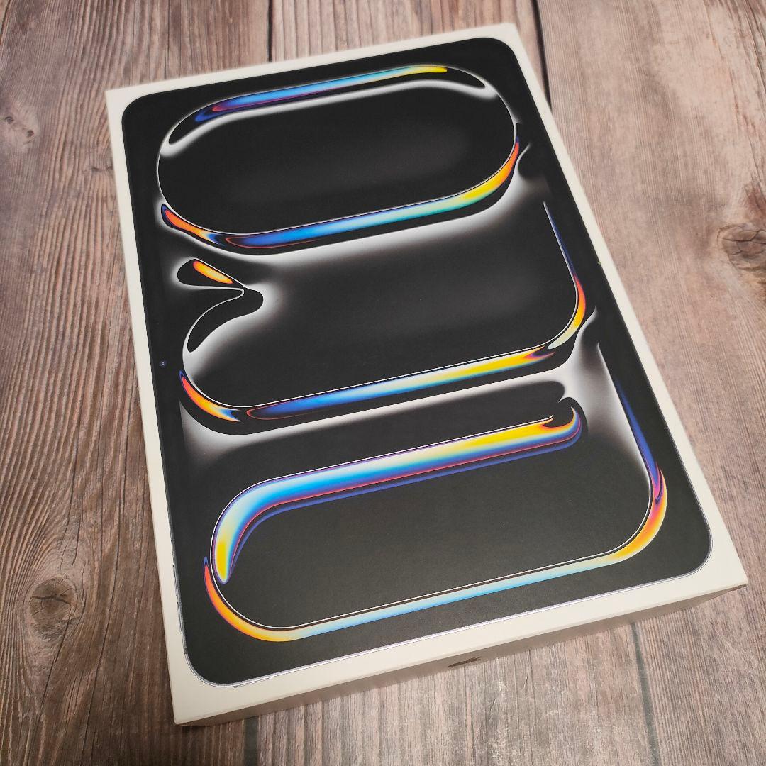 iPad Pro 11インチ M4 256GB スペースグレー 新品近い