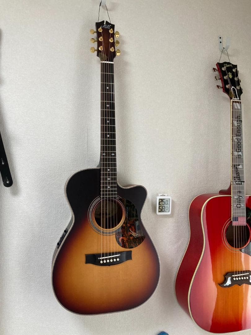 Maton EBG808C ARTIST 2024メッセ限定 EBG808