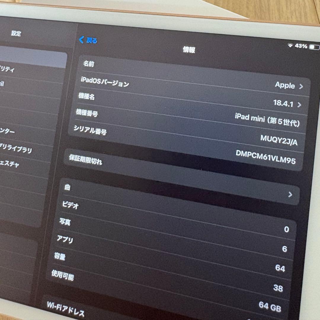 専用ページ　iPad mini 第5世代　本体　64GB 美品　箱付き