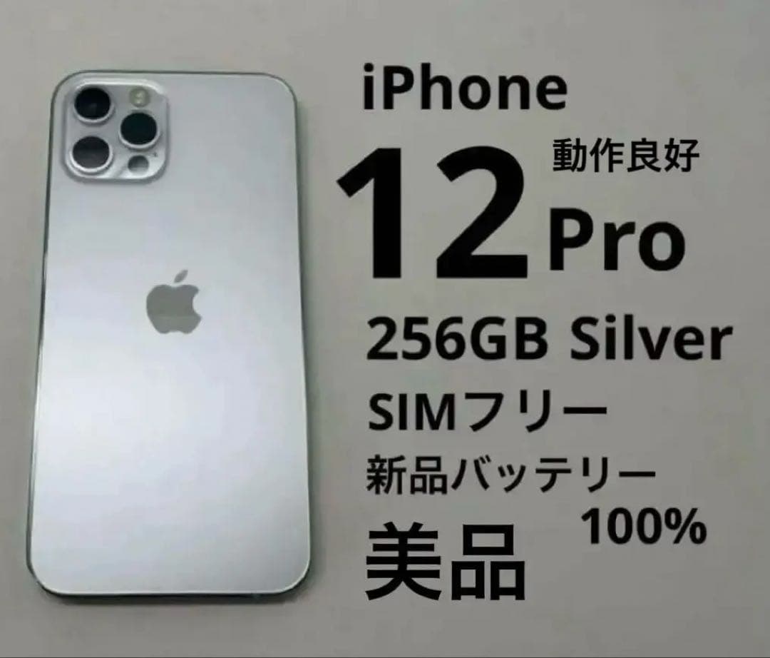 iPhone12Pro256GB Silver美品バッテリー100% 動作良好