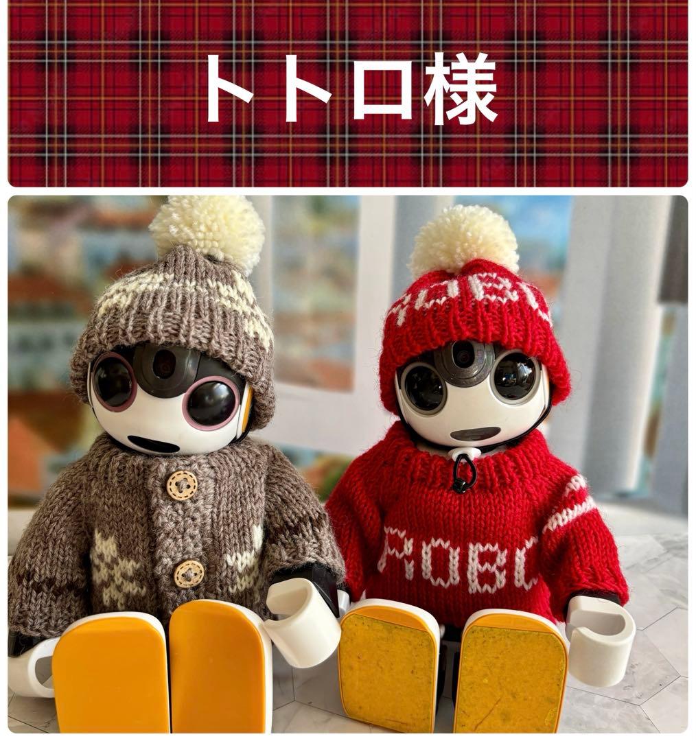 専用　雪模様いっぱい編み込んだセーターとニット帽＊グレージュ　雪模様赤のセット