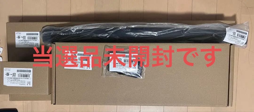 ブラシセット付き インビクタスワン本体　新品未使用　シルバー