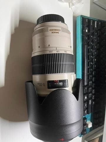 キヤノン EF70-200mm f2.8L IS II USM レンズ