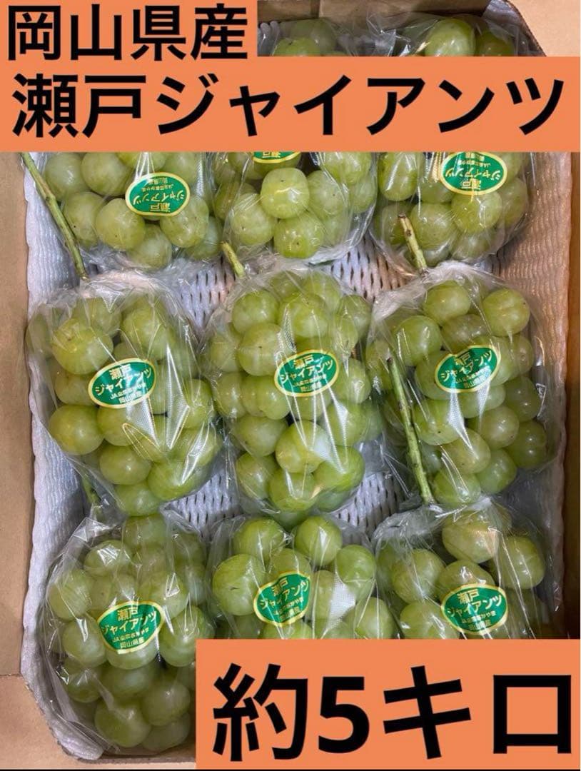 ⑨【岡山県産】瀬戸ジャイアンツ　7〜12房　約5キロ
