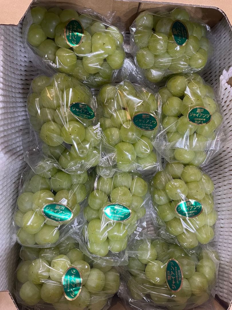 ⑨【岡山県産】瀬戸ジャイアンツ　7〜12房　約5キロ