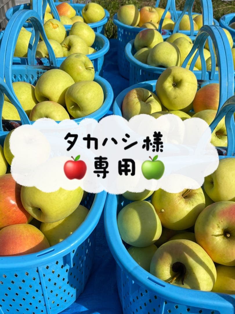 タカハシ　青森県産ぐんま名月　もぎたて直送