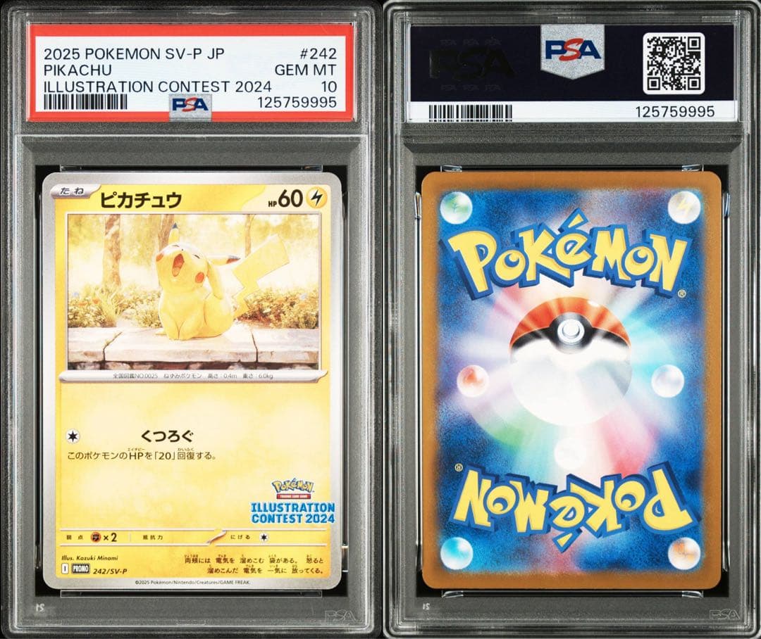 PSA10イラストレーション コンテスト ピカチュウ #242 プロモ