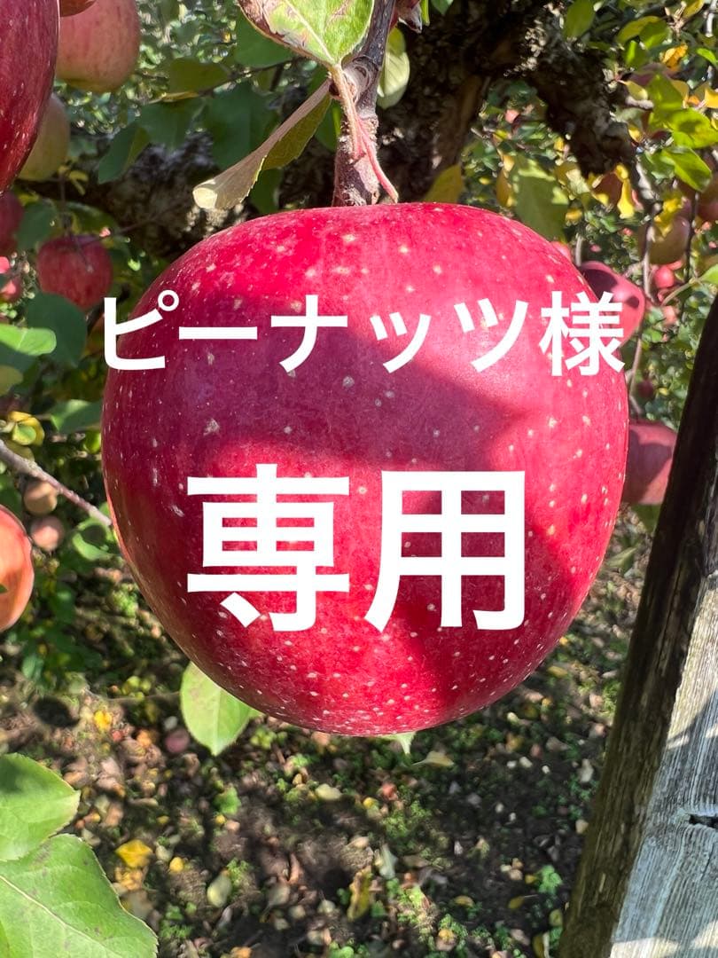 ピーナッツ　高徳りんご