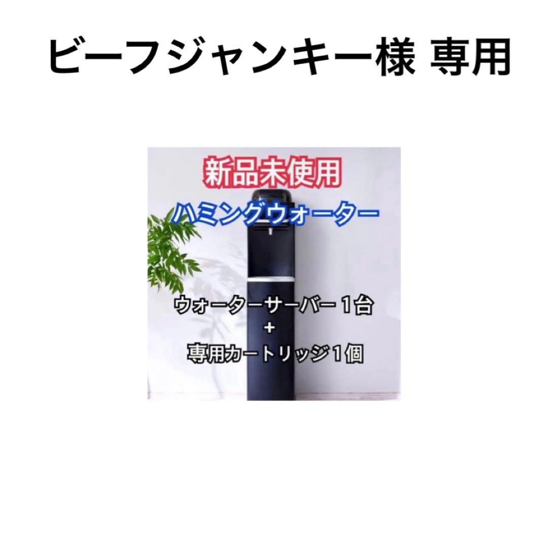 【専用】ビーフジャンキー様・1月11日発送