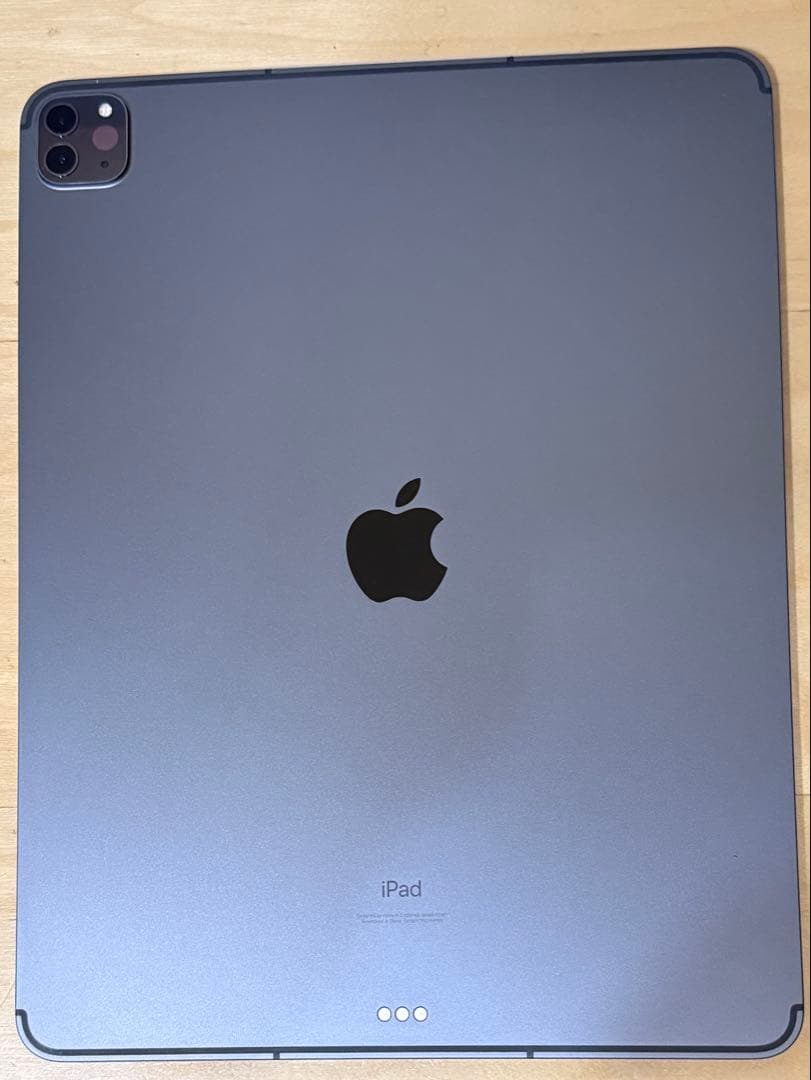 iPad本体 iPad Pro12.9 256GB cellular Apple pencil