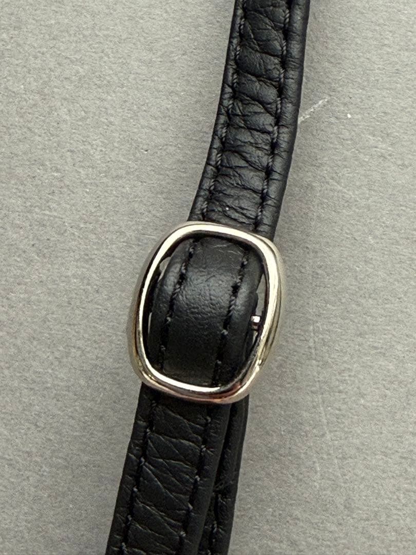 Elan. iPhoneケース　iPhone16pro ショルダーストラップ付き