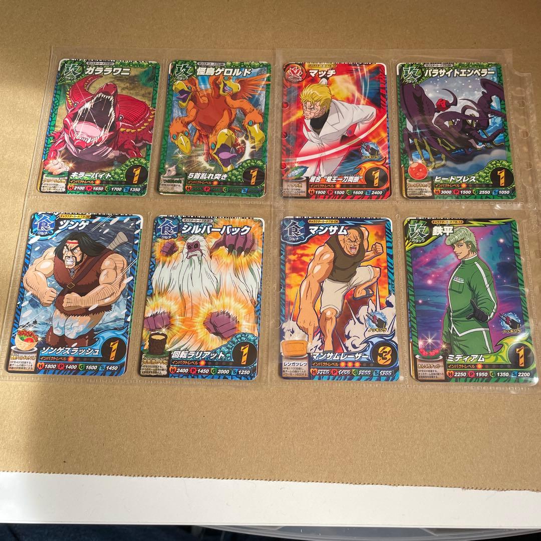 トリコ バインダーセット 公式