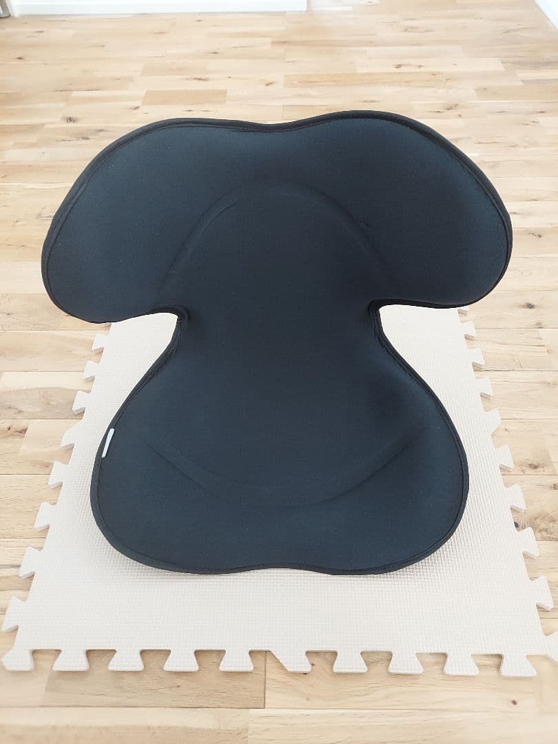 スタイル スマート シリーズ/Style SMART series (ブラック)