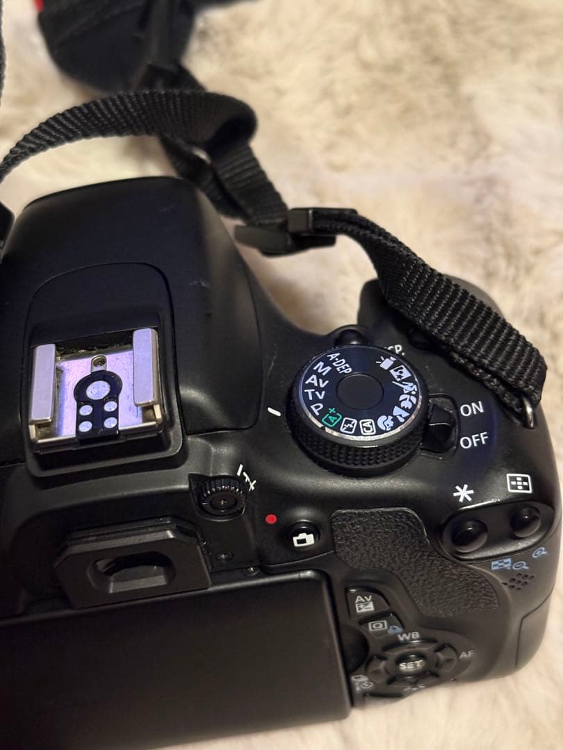 Canon EOS Kiss X5 ダブルズームキット