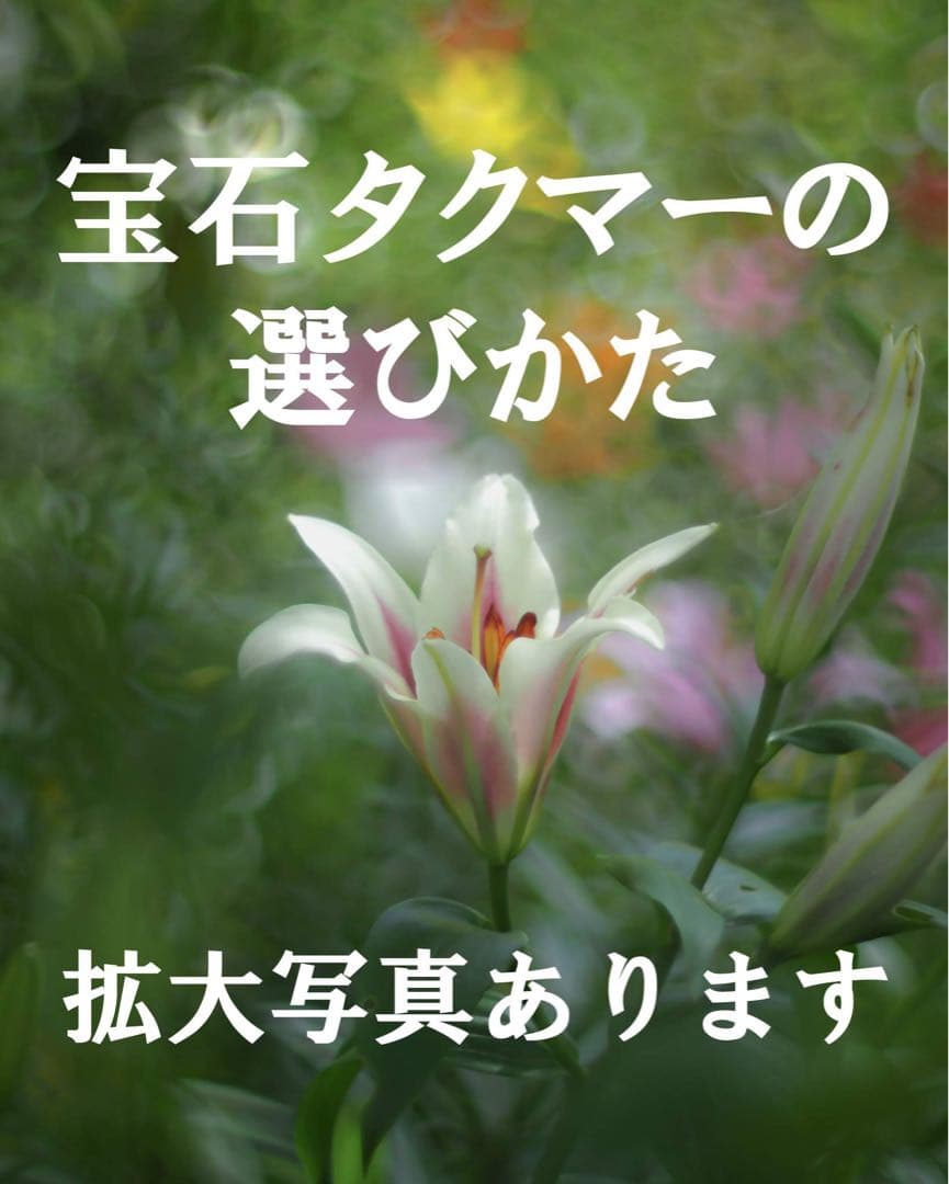 宝石レンズ_SMC_Takumar 55mm_f1.8_ax