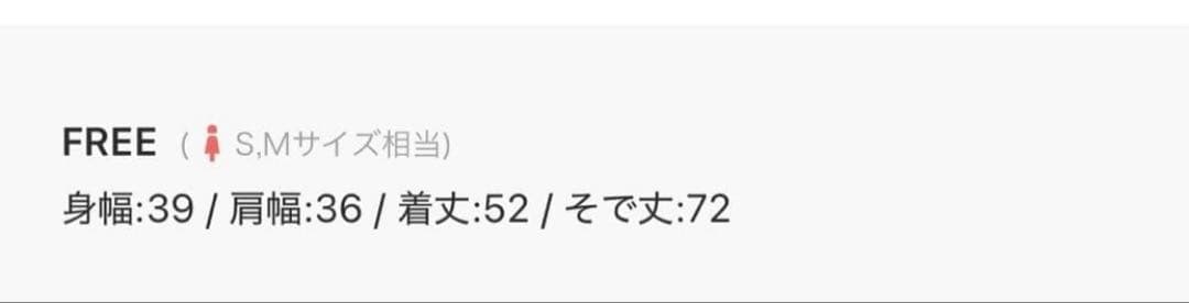 PRANK PROJECT シースルービスチェレイヤードトップ