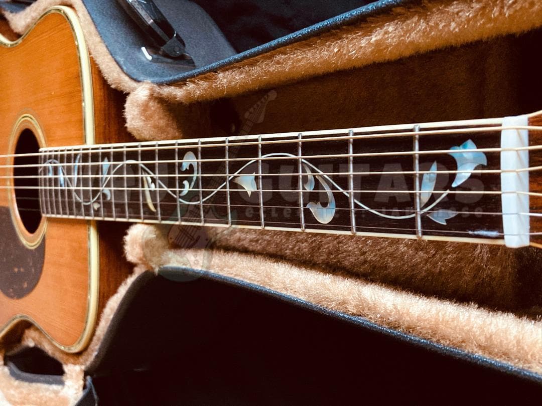 ギター TREE of LIFE* JAGARD TERADA MT-400P 1974