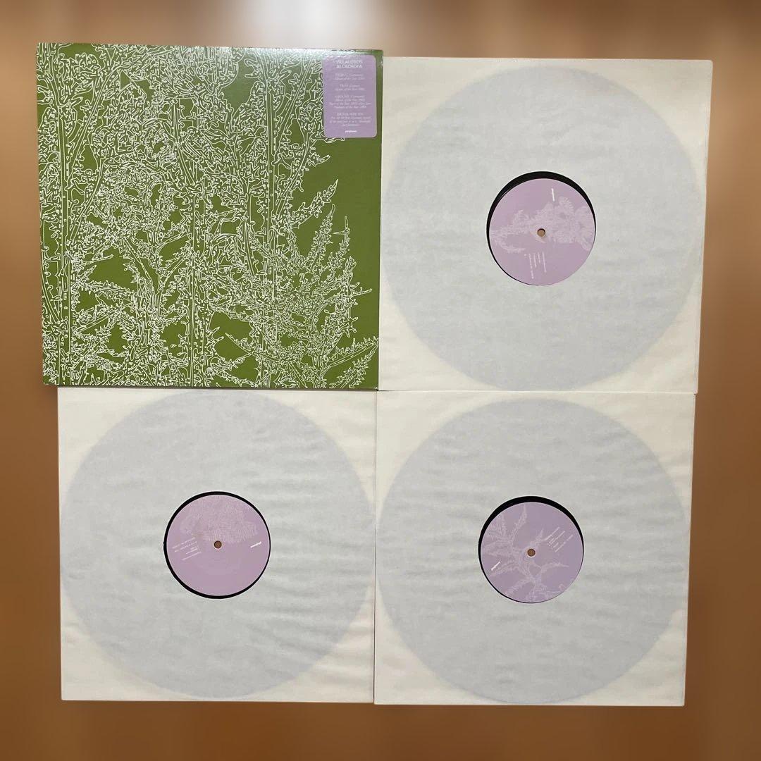 RICARDO VILLALOBOS ALCACHOFA レコード3枚組