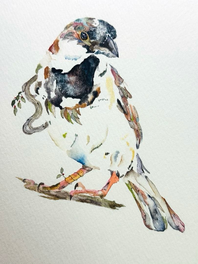 雀 すずめ 額装付き 原画